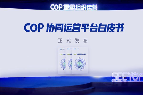 致遠(yuǎn)互聯(lián) IDC 協(xié)同運(yùn)營(yíng)平臺(tái) COP 