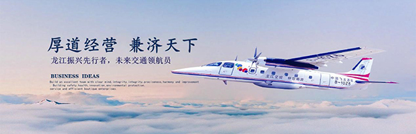 黑龍江省交通 致遠(yuǎn)互聯(lián) COP 協(xié)同 oa